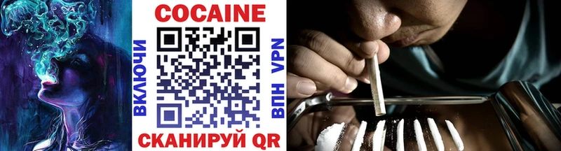 Купить где  Электроугли  Кокаин Fish Scale 