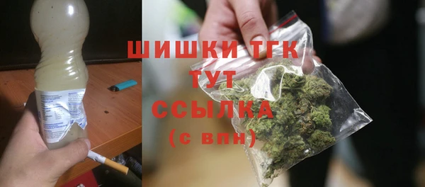 мет Гусев