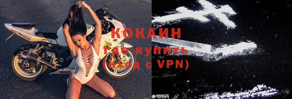 дживик Гусь-Хрустальный