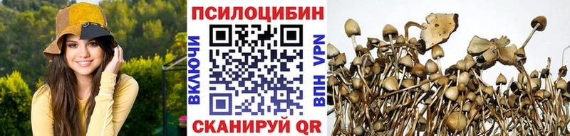 Купить где  Электроугли  Галлюциногенные грибы Psilocybe 